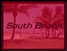 South Beach - Dance Clubs, Bars and Lounges, Restaurants and Cafes, What's Hot, Cool Places and Party People